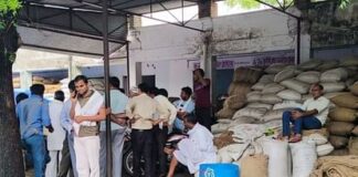 Dausa: गजब है…व्यापारी बोला- मंडी से सात लाख का माल चोरी हुआ, सचिव बोले- अभी भी स्टॉक से अधिक माल मौजूद Dausa News Taramira and mustard-filled bags worth seven lakh rupees stolen from merchant shop