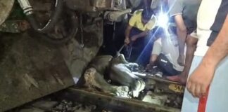 Rajasthan: पाली में सूर्यनगरी एक्सप्रेस ट्रेन के इंजन में फंसी भैंस, साढ़े तीन घंटे लग गए निकालने में Buffalo stuck in the engine of Suryanagari Express train in Pali, it took three and a half hours to remove