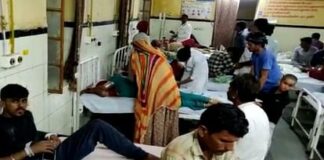 Rajasthan: एक रात में 19 लोगों को सांप ने काटा, चौंकाने वाला कारण आया सामने, इलाके में हड़कंप Rajasthan Snake bitten 19 people in one night in Barmer