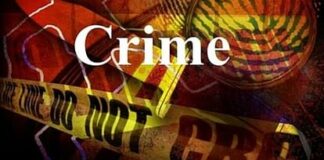 MP News: उज्जैन में करंट लगने से दो की मौत, गौशाला में काम करते समय चपेट में आया एक युवक MP News: Two died due to electrocution in Ujjain young man got electrocuted while working in cowshed