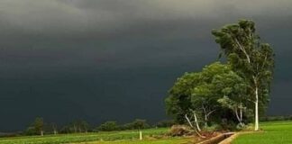 Rajasthan weather: गर्मी और उमस से लोग बेहाल, मौसम विभाग ने जताई 23 से 25 जुलाई तक बारिश की संभावना Meteorological Department expressed the possibility of rain in Rajasthan