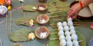 पितृ पक्ष में रोजाना करें ये उपाय, पूर्वज खुश होकर देंगे आशीर्वाद – 24×7 Khabre Fatafat पितृ पक्ष में रोजाना करें ये उपाय, पूर्वज खुश होकर देंगे आशीर्वाद - 24x7 India News
