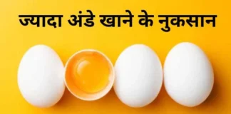 Protein से भरपूर अंडे का अधिक सेवन क्यों है नुकसानदेह? डाइटीशियन ने बताई बड़ी वजह – 24×7 Khabre Fatafat Protein से भरपूर अंडे का अधिक सेवन क्यों है नुकसानदेह? डाइटीशियन ने बताई बड़ी वजह - 24x7 India News