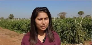 पिता की देखभाल के लिए बेटी ने छोड़ी MNC की नौकरी, अब सब्जी की खेती से कमा रहीं एक करोड़ – 24×7 Khabre Fatafat पिता की देखभाल के लिए बेटी ने छोड़ी MNC की नौकरी, अब सब्जी की खेती से कमा रहीं एक करोड़ - 24x7 India News
