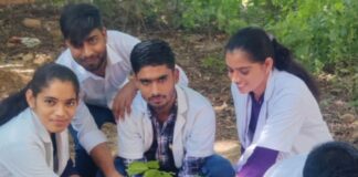 वृक्षारोपण किया व मतदान ली शपथ वृक्षारोपण किया व मतदान ली शपथ Rajasthan News,Jodhpur News, Jodhpur Crime, वृक्षारोपण किया व मतदान ली शपथ वृक्षारोपण किया व मतदान ली शपथ Rajasthan News,Jodhpur News, Jodhpur Crime,